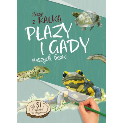 Płazy i gady naszych lasów. Zeszyt z kalką wyd. 2025 | Polska Półka