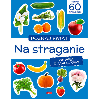 Na straganie. Poznaj świat. Zabawa z naklejkami | Polska Półka