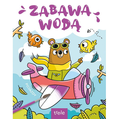 Pojazdy. Zabawa wodą | Polska Półka