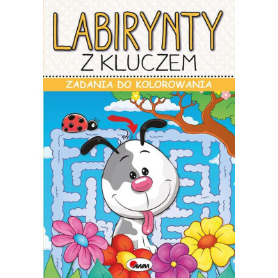 Labirynty z kluczem. Zadania do kolorowania | Polska Półka