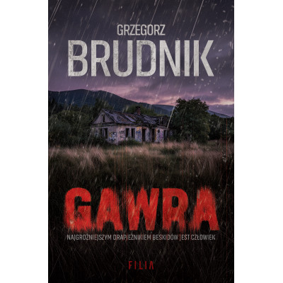 Gawra. Wielkie Litery | Polska Półka
