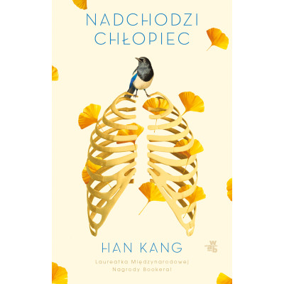 Nadchodzi chłopiec | Polska Półka